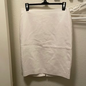 Express Pencil Skirt